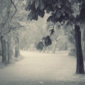 新有菜电影免费观看最新一期
