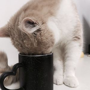 新有菜电影免费观看最新一期
