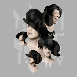 新有菜电影免费观看最新一期
