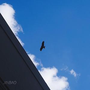 新有菜电影免费观看最新一期
